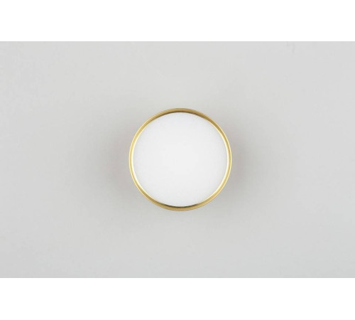 Накладной светильник Omnilux Abano OML-103329-06