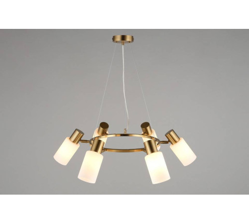 Подвесная люстра Omnilux Ales OML-69103-06