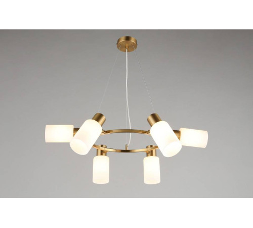 Подвесная люстра Omnilux Ales OML-69103-06