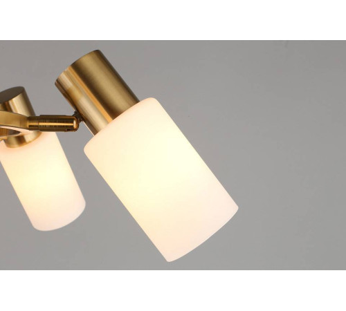 Подвесная люстра Omnilux Ales OML-69103-06