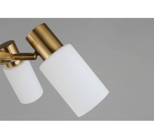 Подвесная люстра Omnilux Ales OML-69103-06