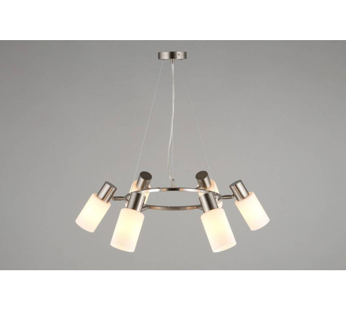 Подвесная люстра Omnilux Ales OML-69113-06
