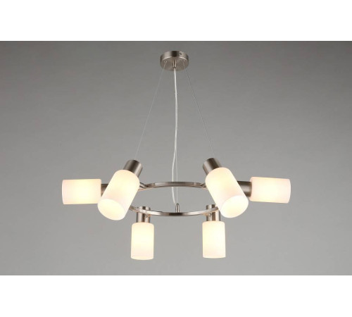 Подвесная люстра Omnilux Ales OML-69113-06