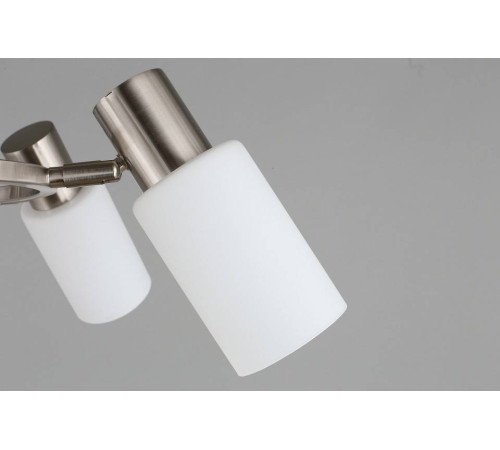 Подвесная люстра Omnilux Ales OML-69113-06