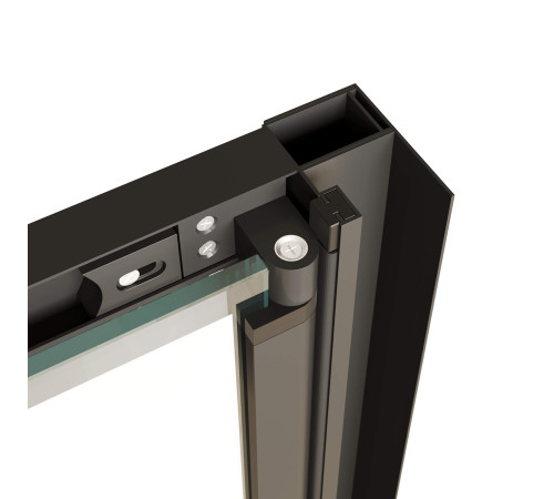 Душевая дверь в нишу RGW Passage PA-21B 800х1950 мм черный 06082108-14