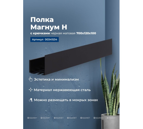 Полка Aquanet Магнум Н 700х120х100 мм с крючками черный матовый 00341534