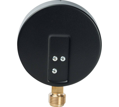 Манометр радиальный Watts F+R200 (MDR) 100 мм 1/2 10 бар 10008078
