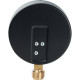 Манометр радиальный Watts F+R200 (MDR) 100 мм 1/2 10 бар 10008078