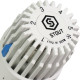 Головка термостатическая STOUT SHT газовая M30x1.5 SHT-0001-003015