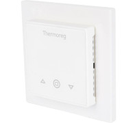 Терморегулятор Thermo Thermoreg TI-300