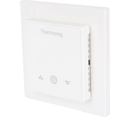 Терморегулятор Thermo Thermoreg TI-300
