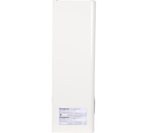 Котел газовый настенный Immergas Nike Mythos 24 3 R двухконтурный атмосферный 3.026938