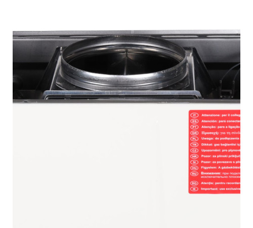 Котел газовый настенный Immergas Nike Mythos 24 3 R двухконтурный атмосферный 3.026938