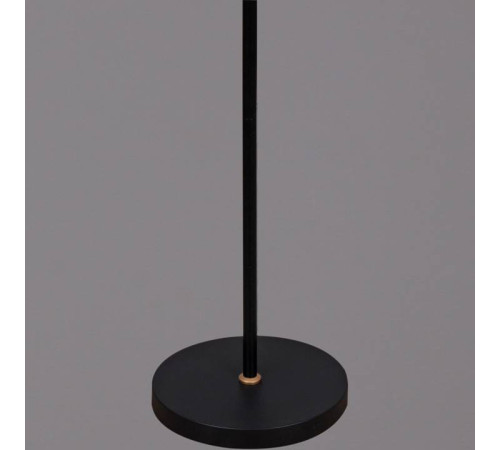 Торшер Reluce 00301-0.6-01D BK