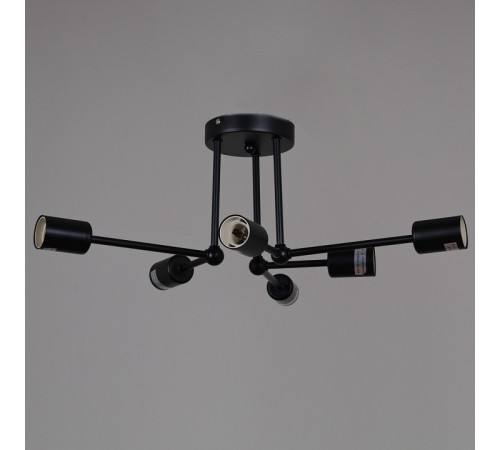 Потолочная люстра 01651-0.3-06 BK