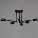 Потолочная люстра 01651-0.3-06 BK