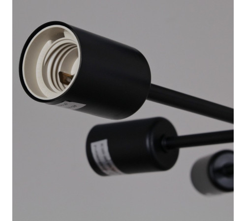 Потолочная люстра 01651-0.3-06 BK