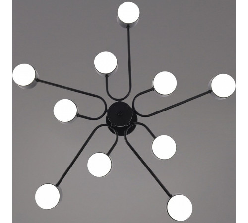 Люстра на штанге 03708 03708-0.3-10 BK GX53