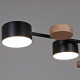 Люстра на штанге 03758 03758-0.3-10 BK+WOOD GX53