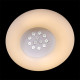 Накладной светильник 09049-0.3-80W WT