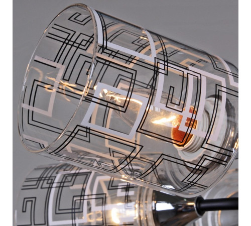 Люстра на штанге 26260-0.3-06 CR+BK