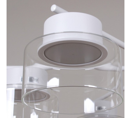 Люстра на штанге 48010-0.3-08 WT