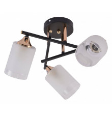 Люстра на штанге Rivoli Fiona Б0059259