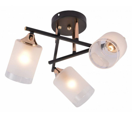 Люстра на штанге Rivoli Fiona Б0059259