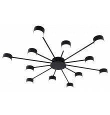 Потолочная люстра Rivoli Leona 3184-312