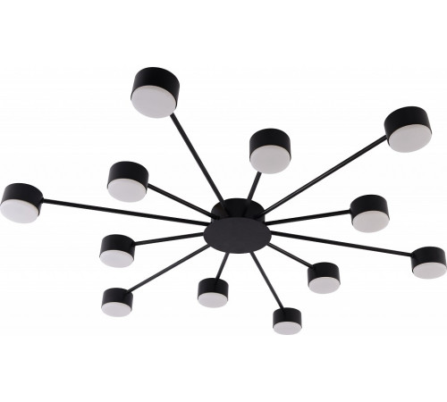 Потолочная люстра Rivoli Leona 3184-312