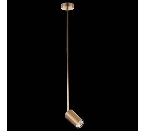 Светильник на штанге ST-Luce Sormano SL1206.303.01