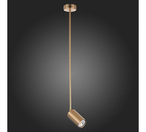 Светильник на штанге ST-Luce Sormano SL1206.303.01
