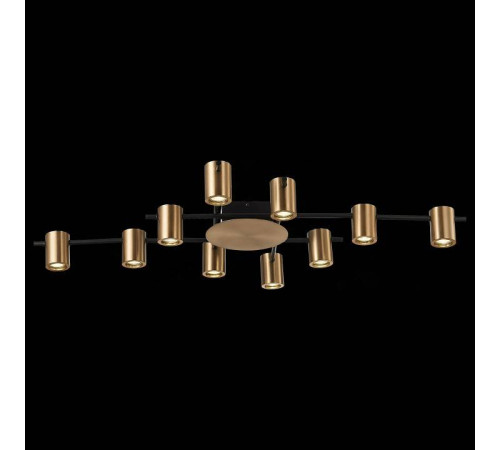 Потолочная люстра ST Luce Veroli SL1207.402.10