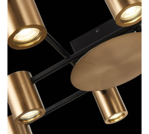 Потолочная люстра ST Luce Veroli SL1207.402.10
