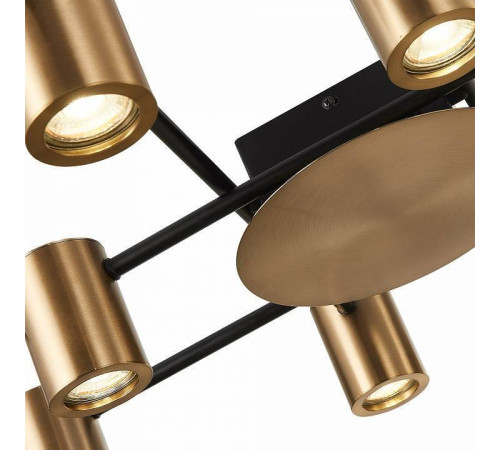 Потолочная люстра ST Luce Veroli SL1207.402.10