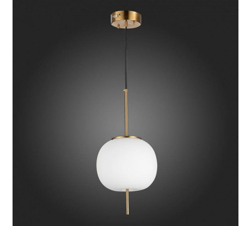 Подвесной светильник ST-Luce Lacus SL1621.203.01