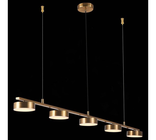 Подвесной светильник ST-Luce Pances SL6000.303.05