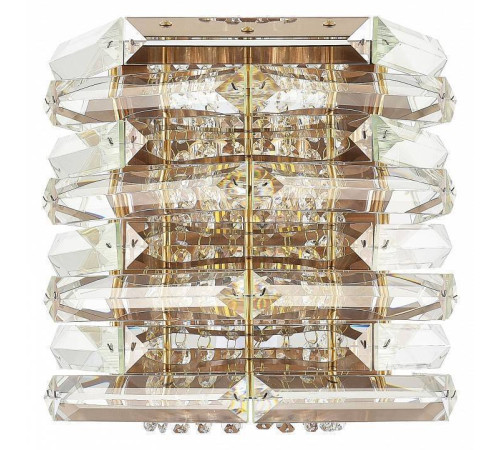 Накладной светильник ST-Luce STROZZI SL6137.201.02