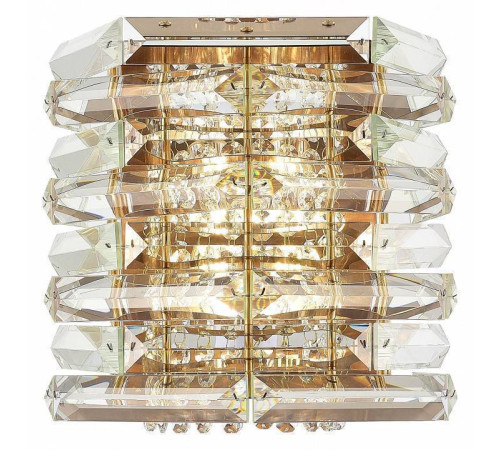 Накладной светильник ST-Luce STROZZI SL6137.201.02