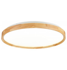 Накладной светильник EVOLUCE DELIA SLE201382-01