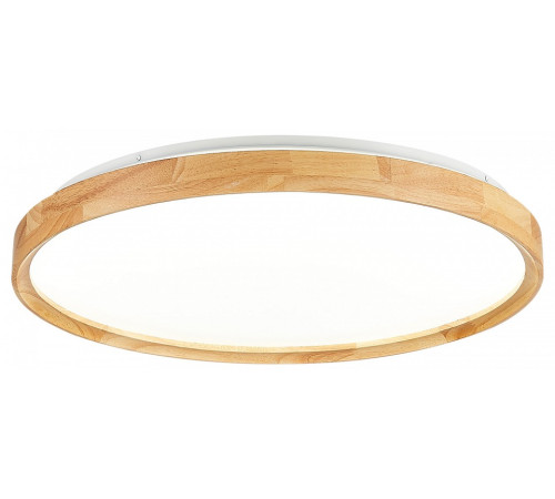 Накладной светильник EVOLUCE DELIA SLE201382-01