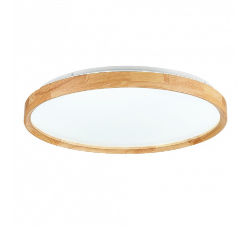 Накладной светильник EVOLUCE DELIA SLE201382-01