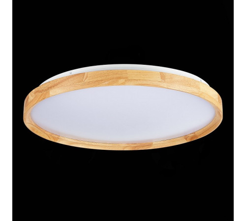 Накладной светильник EVOLUCE DELIA SLE201382-01