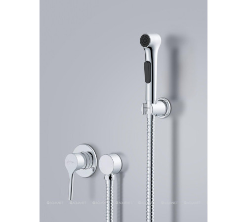 Смеситель с гигиеническим душем Jacob Delafon Elate хром E24610-CP