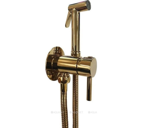 Гигиенический душ со смесителем Paffoni TWEET ROUND MIX золото ZDUP110HG