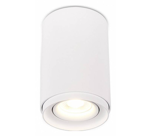 Накладной светильник SIMPLE STORY 2065 2065-1CLW