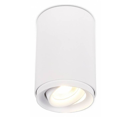Накладной светильник SIMPLE STORY 2065 2065-1CLW