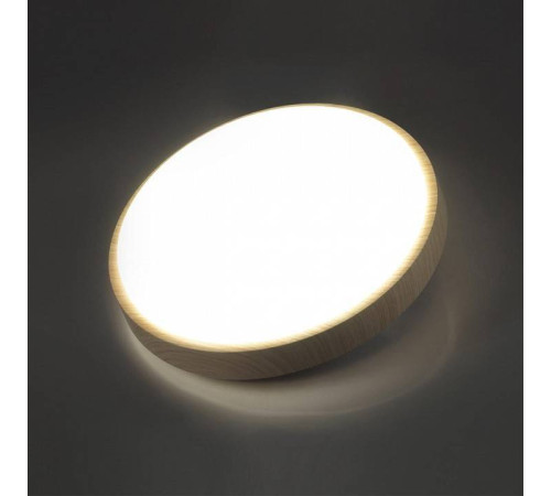 Светильник накладной Sonex Losta 7607/AL