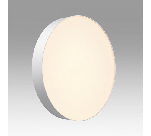 Накладной светильник Sonex BASICA 7779/ELN