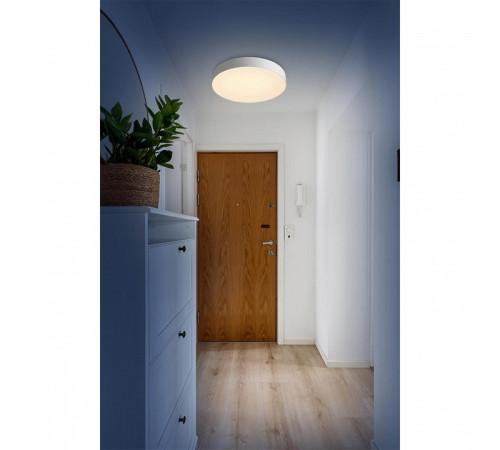 Накладной светильник Sonex BASICA 7779/ELN